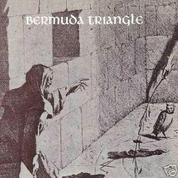 cd - Bermuda Triangle - Bermuda Triangle, Verzenden, Zo goed als nieuw
