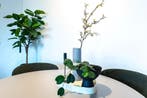Te huur: Appartement Voltstraat in Tilburg, Tilburg, Noord-Brabant, Appartement