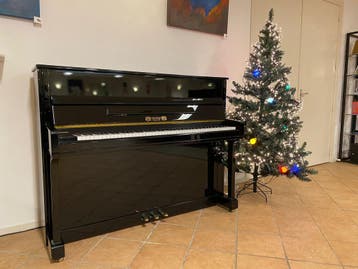 GROTE en UITGEBREIDE COLLECTIE - * Servicebedrijf*, Verzenden, Zwart, Nieuw, Piano