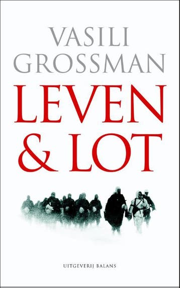 Leven en lot - Vassili Grossman 9789050188968, Boeken, Verzenden, Gelezen, Vassili Grossman