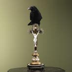 Kraai op Kruis Taxidermie Opgezette Dieren By Max, Verzamelen, Dierenverzamelingen, Ophalen of Verzenden, Nieuw, Vogel, Opgezet dier