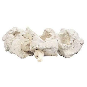 Rifkeramiek Aflegsteen met pin - 5 cm - voor het stekken van, Ophalen of Verzenden, Nieuw