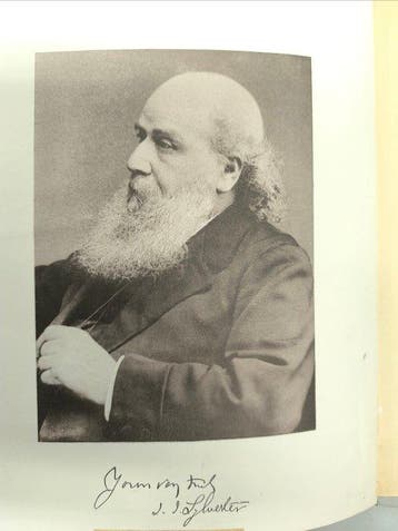 (Johns Hopkins University). - American Journal of, Antiek en Kunst
