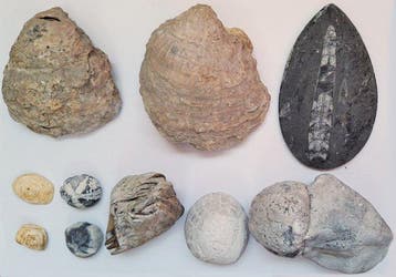 Kavel met verschillende items- 1.5 kg - (10)