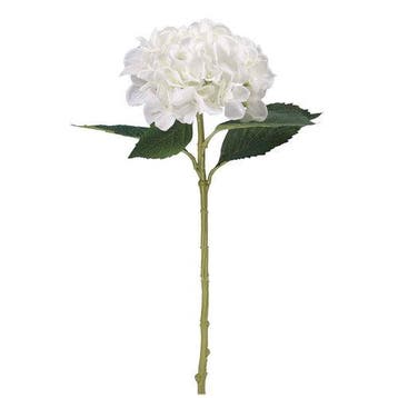 Hortensia Hydrangea Ivoorwit 51cm. Hortensia, Ophalen of Verzenden, Nieuw