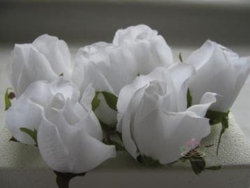 Zijden Roosjes Pure White 5-6 cm 10 stuks, Ophalen of Verzenden, Nieuw