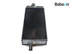 Radiateur Triumph Bonneville 900 T100 2017-2019 Black, Motoren, Verzenden, Gebruikt