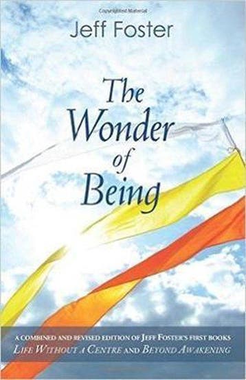 Wonder Of Being - Jeff Foster 9780956309181, Boeken, Verzenden, Zo goed als nieuw, Jeff Foster
