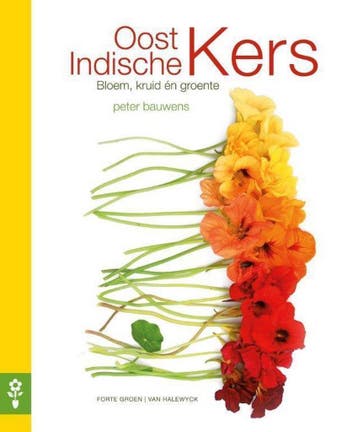 Oost-Indische kers - Peter Bauwens 9789462500679, Verzenden, Zo goed als nieuw, Peter Bauwens