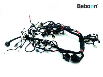 Kabelboom Ducati Supersport 939 2017-2018 (5101B191B/1), Verzenden, Gebruikt