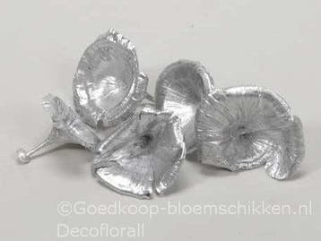 Golden Mushroom Zilver Paddenstoel 250 gram, Ophalen of Verzenden, Nieuw