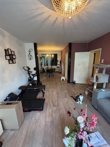 Te huur: Appartement Heymansstraat in Rotterdam, Appartement, Rotterdam, Zuid-Holland