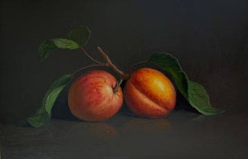 Yaroslav Ponomarenko (1982) - Juicy Apricots