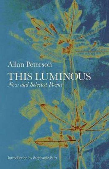 This Luminous - Allan Peterson 9780991640447, Verzenden, Zo goed als nieuw, Allan Peterson