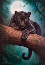 Mihai Pandelescu - Moonlight Shadow, Antiek en Kunst