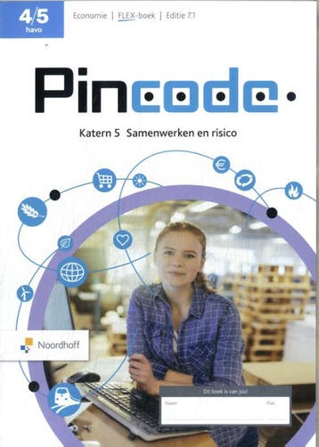 Pincode 45 havo katern 5 Samenwerken en risico 9789001056667, Zo goed als nieuw