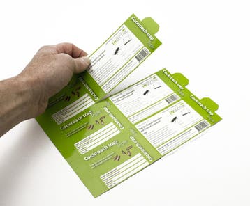 Insective kakkerlakken XL met lokstof, Verzenden, Nieuw