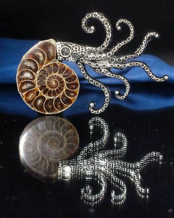 Geen reserveprijs Prachtige ammoniet hanger/broche