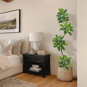 Realistische Kunstplant Ficus Lyrata (Fiddle Leaf Fig) - 180, Verzenden, Nieuw