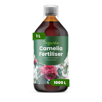 Camellia Vloeibare meststof - 1 liter, Verzenden, Mest