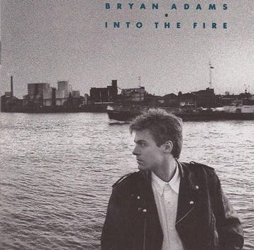 cd - Bryan Adams - Into The Fire, Verzenden, Zo goed als nieuw