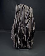 Orthoceras grote maat XXL - Fossiele matrix - Enorme placa