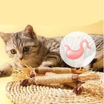 Set 1/2/5/10 Katten Speelgoed – Natuurlijke Matatabi Kauwsto, Verzenden, Nieuw