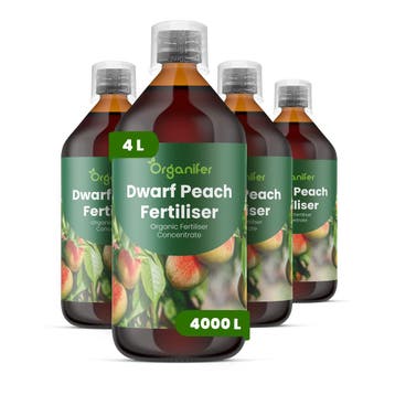 Dwergperzik Vloeibare Meststof - 4x1 liter, Verzenden, Mest