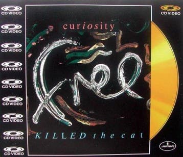 gold disc - Curiosity Killed The Cat - Free (CD Video Sin..., Verzenden, Zo goed als nieuw