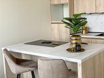 Te huur: Appartement Nicolaas Tulpstraat in Den Haag, Den Haag, Appartement, Zuid-Holland