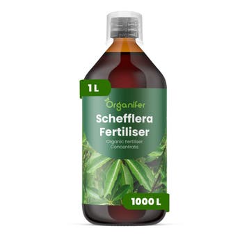 Schefflera Vloeibare meststof - 1 liter, Verzenden, Mest