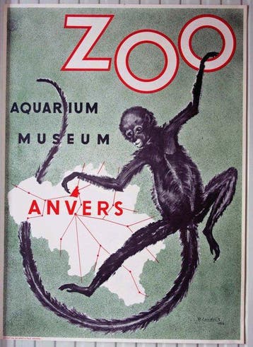 Robert Landois - ZOO Anvers Aquarium & Museum - jaren 1950