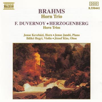 cd - Johannes Brahms - Horn Trio, Verzenden, Zo goed als nieuw