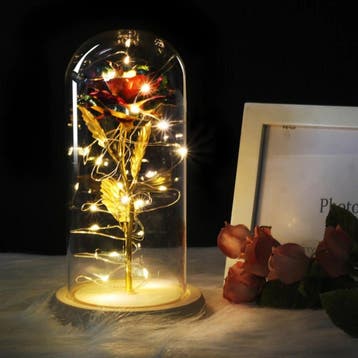 Kunst Roos in Glazen Stolp met Verlichting - Zijden Rozen, Verzenden, Nieuw