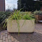 Odin S 80x22x40 cm Cream, Verzenden, Nieuw, Beton