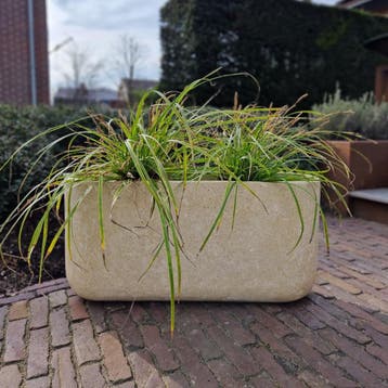 Odin S 80x22x40 cm Cream, Verzenden, Nieuw, Beton
