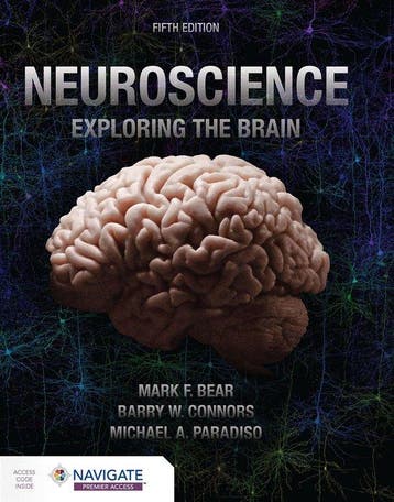 9781284286878 Neuroscience: Exploring the Brain, Verzenden, Nieuw, Mark Bear
