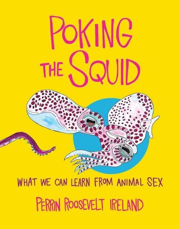 9781324089049 Poking the Squid Perrin Roosevelt Ireland, Verzenden, Nieuw, Perrin Roosevelt Ireland
