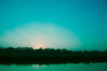 Viet Ha Tran - Sunset in Chitwan