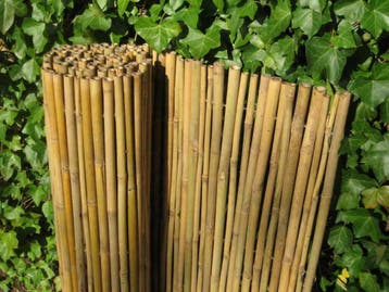 Bamboerolschermen , Bamboe , Bamboematten , Bamboerollen ,, Ophalen of Verzenden, Nieuw