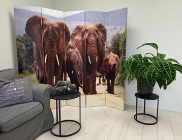 Kamerscherm met Print – Unieke Eyecatcher voor je Interieur!, Verzenden, Nieuw
