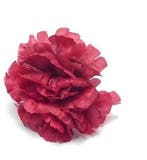 Anjerpick Burgundy Zijdenbloem per stuk, Ophalen of Verzenden, Nieuw