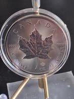 Canada. 1 Onza 2023 Maple Leaf (Zonder minimumprijs)