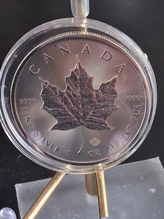 Canada. 1 Onza 2023 Maple Leaf (Zonder minimumprijs), Postzegels en Munten, Munten | Europa | Niet-Euromunten
