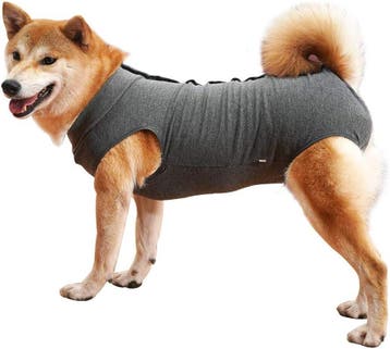Hondenromper Medisch XL | Ademend | 23% Korting, Ophalen of Verzenden, Zo goed als nieuw, Hondenshirt