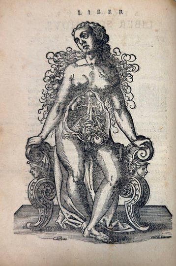 Jacob Rueff - De Conceptu Et Generatione Hominis - 1580