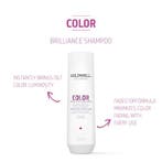 Goldwell Dualsenses Color Brilliance Shampoo, Verzenden, Nieuw