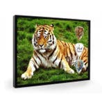 Tijger plectrumdisplay, Verzamelen, Ophalen of Verzenden, Nieuw, Wild dier, Overige typen