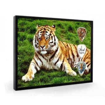 Tijger plectrumdisplay, Verzamelen, Ophalen of Verzenden, Nieuw, Wild dier, Overige typen