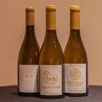 Jules Desjourneys, Mâcon Verzé 2019, Beaujolais Pataphysique, Nieuw